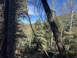 Lot 45 Back Basin Rd - Photo 5