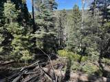 Lot 45 Back Basin Rd - Photo 6