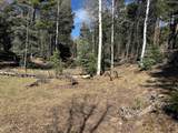 Lot 272 Vail Loop - Photo 1