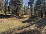 Lot 272 Vail Loop - Photo 5
