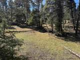 Lot 272 Vail Loop - Photo 6
