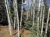Lot 272 Vail Loop - Photo 8