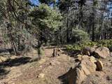 Lot 272 Vail Loop - Photo 9