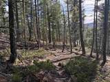 Lot 644 Panorama Way - Photo 11