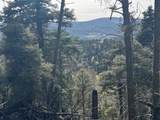 Lot 644 Panorama Way - Photo 12