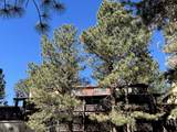 20 Jackson Hole - Photo 17