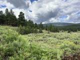 Lot 2 Winter Park Lane - Photo 9