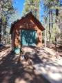 4 Red Oak Dr - Photo 37