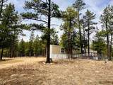 48 Rincon Road - Photo 35