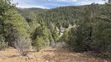 42 Acres Taos Canyon - Photo 11