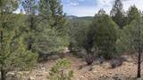 42 Acres Taos Canyon - Photo 13