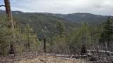 42 Acres Taos Canyon - Photo 14