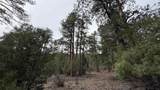 42 Acres Taos Canyon - Photo 15