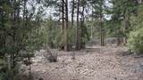 42 Acres Taos Canyon - Photo 16