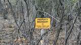 42 Acres Taos Canyon - Photo 19