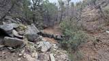 42 Acres Taos Canyon - Photo 21