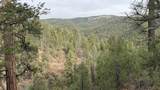 42 Acres Taos Canyon - Photo 25
