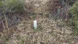42 Acres Taos Canyon - Photo 6