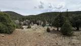 42 Acres Taos Canyon - Photo 9