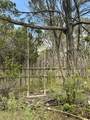 69 Old State Rd 3 - Photo 32
