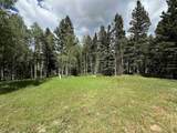 Lot 23 Elk Ridge Road - Photo 1