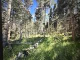 Lot 23 Elk Ridge Road - Photo 4