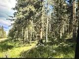 Lot 23 Elk Ridge Road - Photo 6