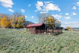 223 Amalia Schoolhouse Rd - Photo 35