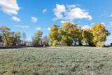 223 Amalia Schoolhouse Rd - Photo 38