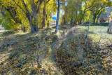 223 Amalia Schoolhouse Rd - Photo 39