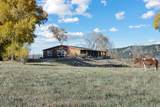 223 Amalia Schoolhouse Rd - Photo 45