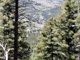 Lot 395 Vail Loop - Photo 13