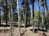 Lot 395 Vail Loop - Photo 4