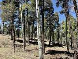 Lot 395 Vail Loop - Photo 6