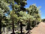 Lot 395 Vail Loop - Photo 8