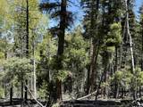 Lot 395 Vail Loop - Photo 9