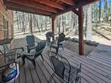 14 Palmer Ct - Photo 39