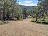 14 Palmer Ct - Photo 41