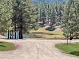 14 Palmer Ct - Photo 42