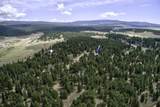 14 Winterwood Ct - Photo 43