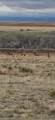 913 Hwy 505 - Photo 2