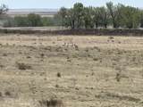 913 Hwy 505 - Photo 42