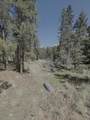 Lot 58 Calle De Los Indios - Photo 1