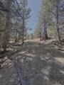 Lot 58 Calle De Los Indios - Photo 4