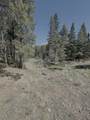 Lot 58 Calle De Los Indios - Photo 6