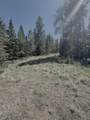 Lot 58 Calle De Los Indios - Photo 7