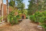 415 Kit Carson Road - Photo 4