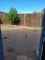 7 Camino Coyote - Photo 22