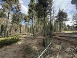 Lot 28 Calle De Los Indios - Photo 6