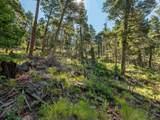 Lot 400 Vail Loop - Photo 23